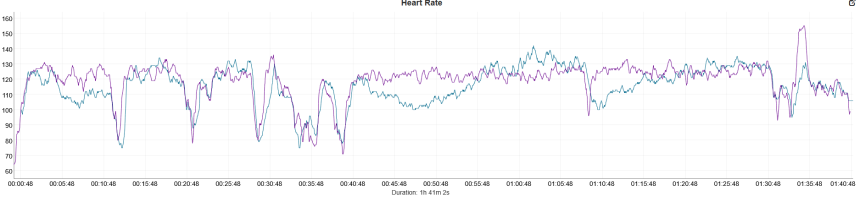 Natation. Bleu – Coros Pace 4, violet – Polar Verity Sense.