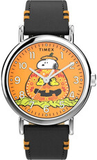 Timex Weekender x Peanuts Quartz TW2Y12300UK