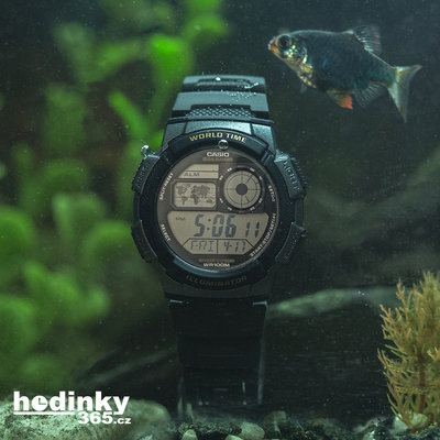 Casio Collection AE-1000W-1AVEF