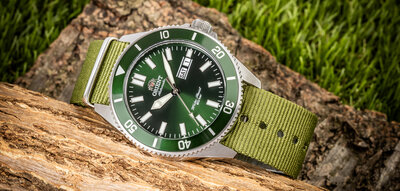 bracelet en nylon Ricardo Kronplatz, vert, NATO
