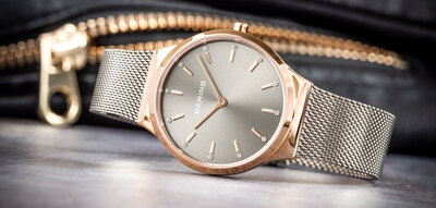 Bering Classic 12131-369-GWP (+ bracelet de montre)