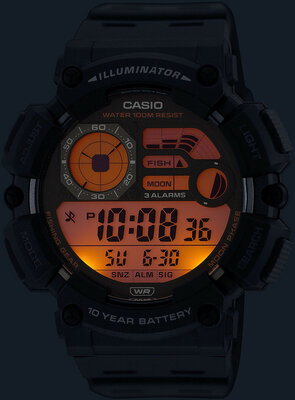 Casio Collection Fishing Gear WS-1500H-1AVEF