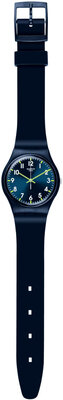 Swatch Skin Classic SO28N702