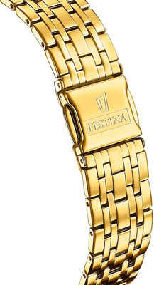 Festina Swiss Made 20046/2