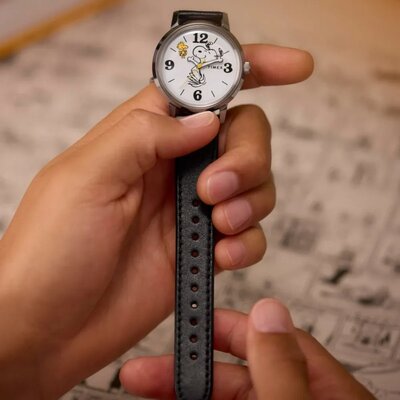 Timex Standard x Peanuts TW2Y199007U