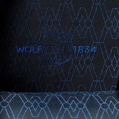 boîte à montres Wolf Earth 190617