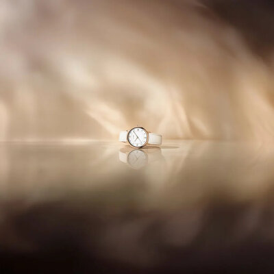 Wenger Urban Donnissima Quartz 60.1721.119 (+ bracelet de rechange)